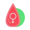 Menstruasi